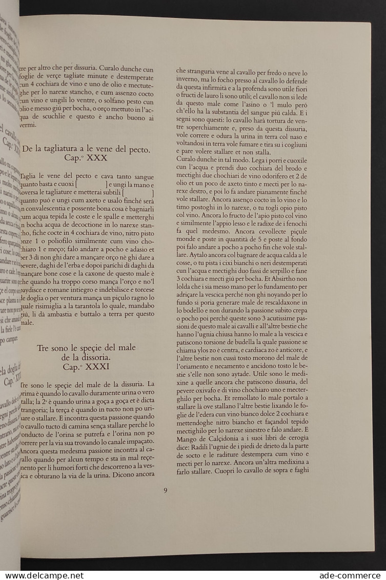 Dei Cavalli - Pratica Maestro Bonifacio Morbi Cavalli - Ed. Nardini - 1988 - Animaux De Compagnie