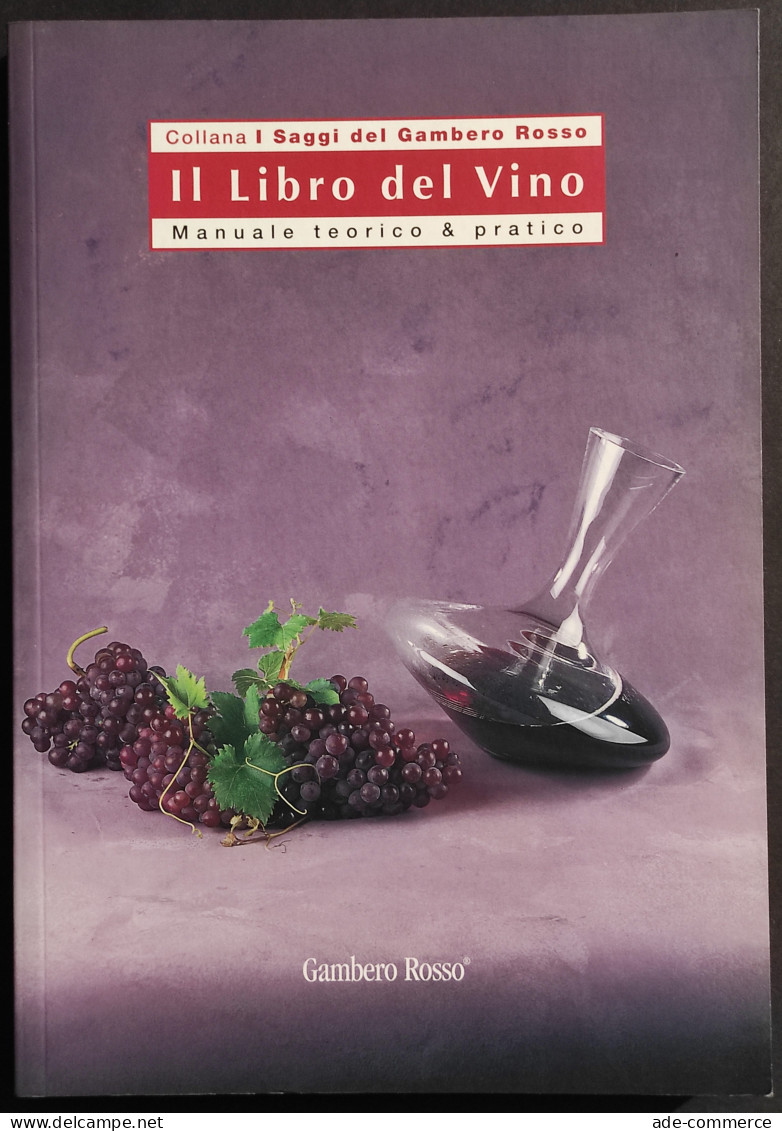 Il Libro Del Vino - Manuale Teorico E Pratico - Gambero Rosso - 2004 - Haus Und Küche