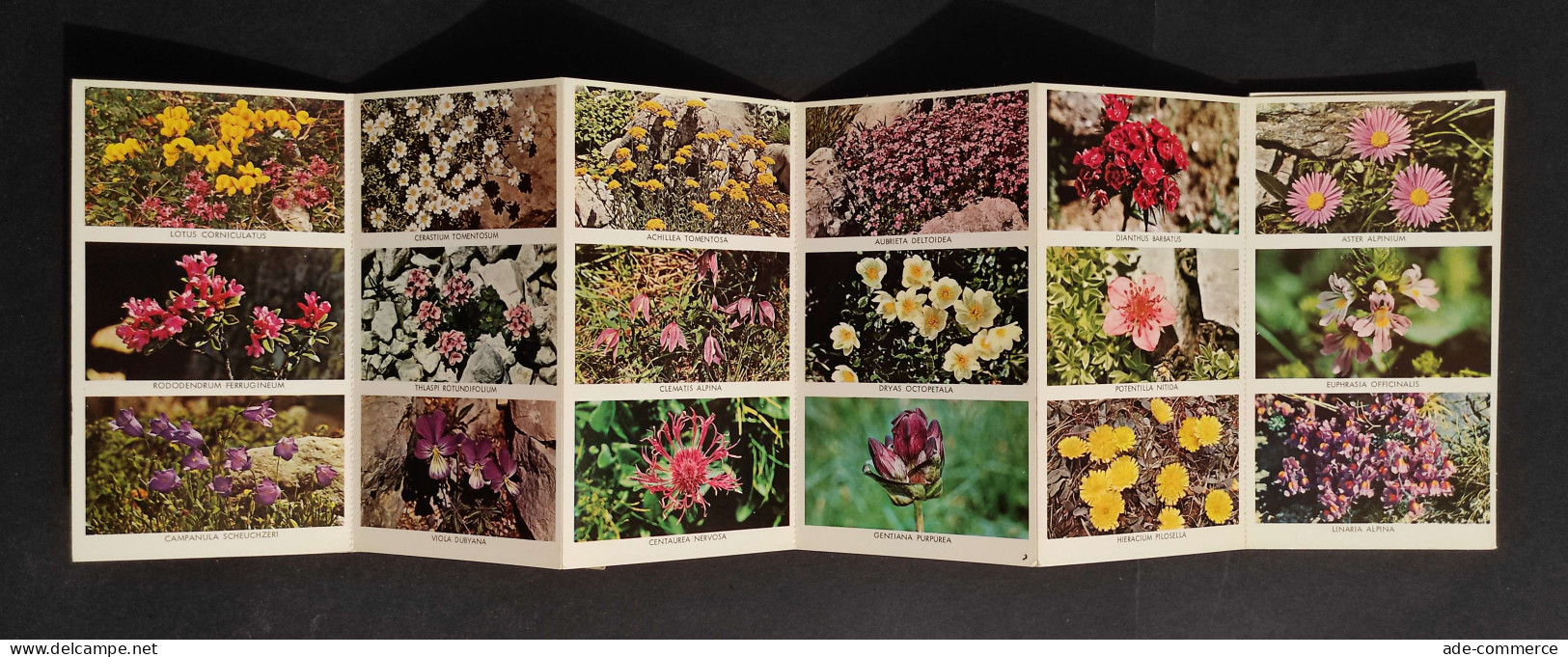 Flora Alpina - Alpenblumen - Fleurs Des Alpes - Gardening