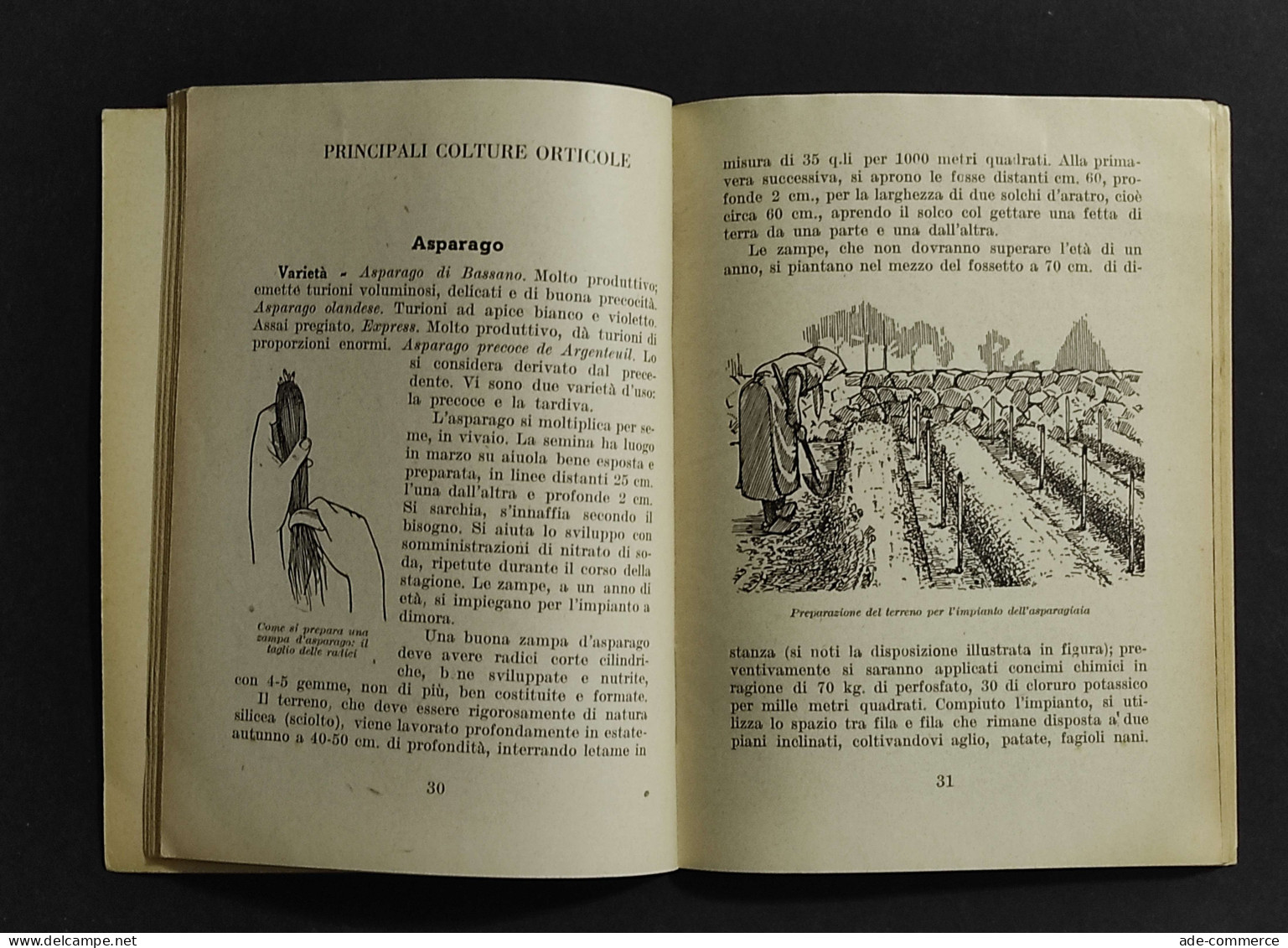 L'Orto Famigliare - E. Bassi - Ed. Degli Agricoltori - 1939 - Gardening