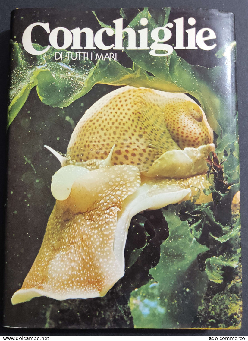 Conchiglie Di Tutti I Mari Vol III - 1981 - Gardening