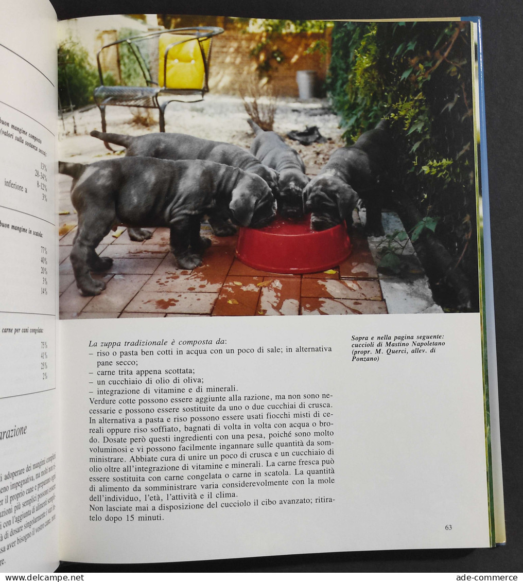 Cuccioli Di Razza - G. F. Cavalchini - Ed. De Vecchi - 1989 - Tiere