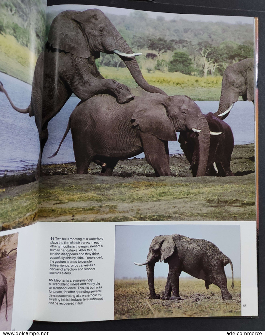 The Lions And Elephants Of The Chobe - Botswana's Untamed Wilderness - 1986 - Animaux De Compagnie