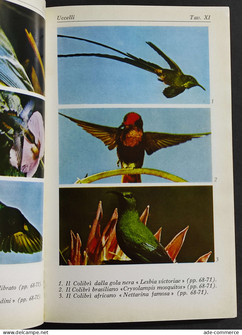 Uccelli Da Gabbia Da Cortile E Da Voliera - A. Lombardi - Ed. Sansoni - 1974 - Pets
