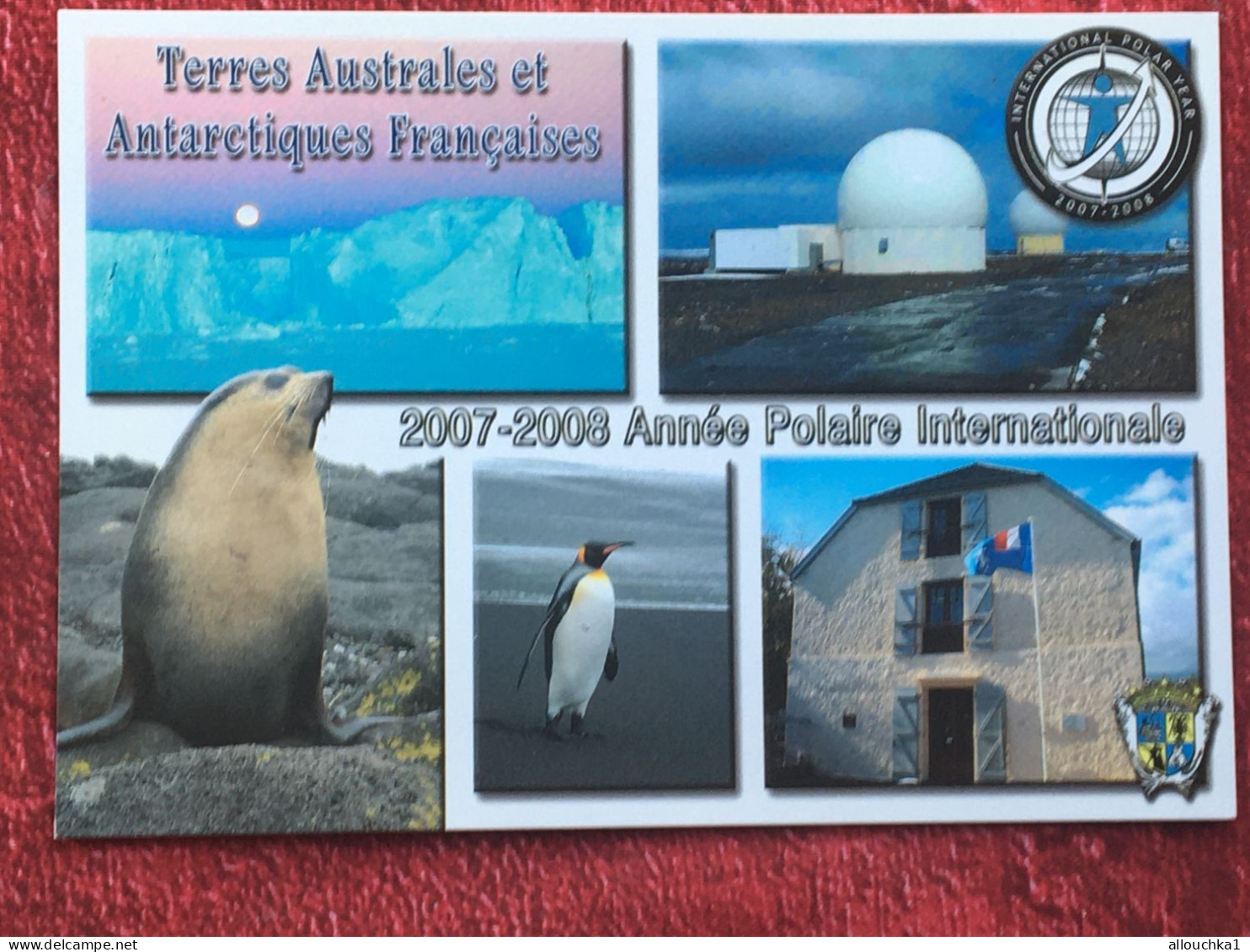 TAAF : Terres Australes Antarctiques Françaises Année Polaire Internationale CPM  Carte Postale Europe France Multi Vue - TAAF : French Southern And Antarctic Lands