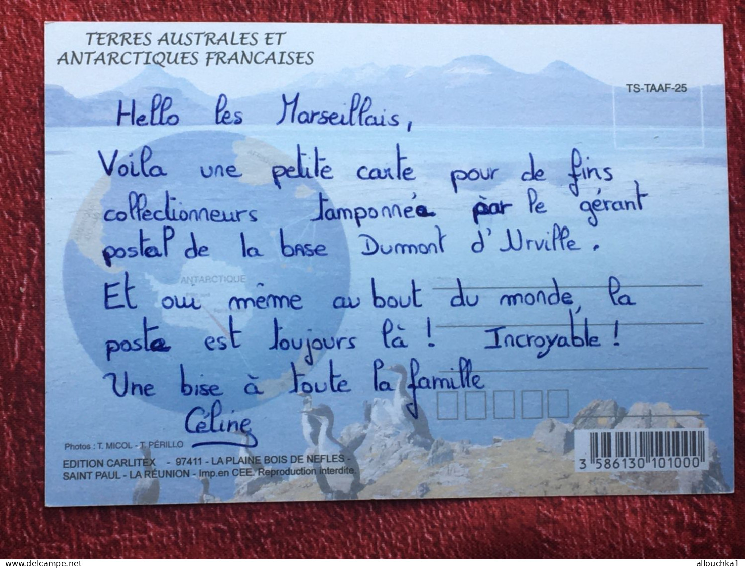 TAAF : Terres Australes Antarctiques Françaises Année Polaire Internationale CPM  Carte Postale Europe France Multi Vue - TAAF : French Southern And Antarctic Lands