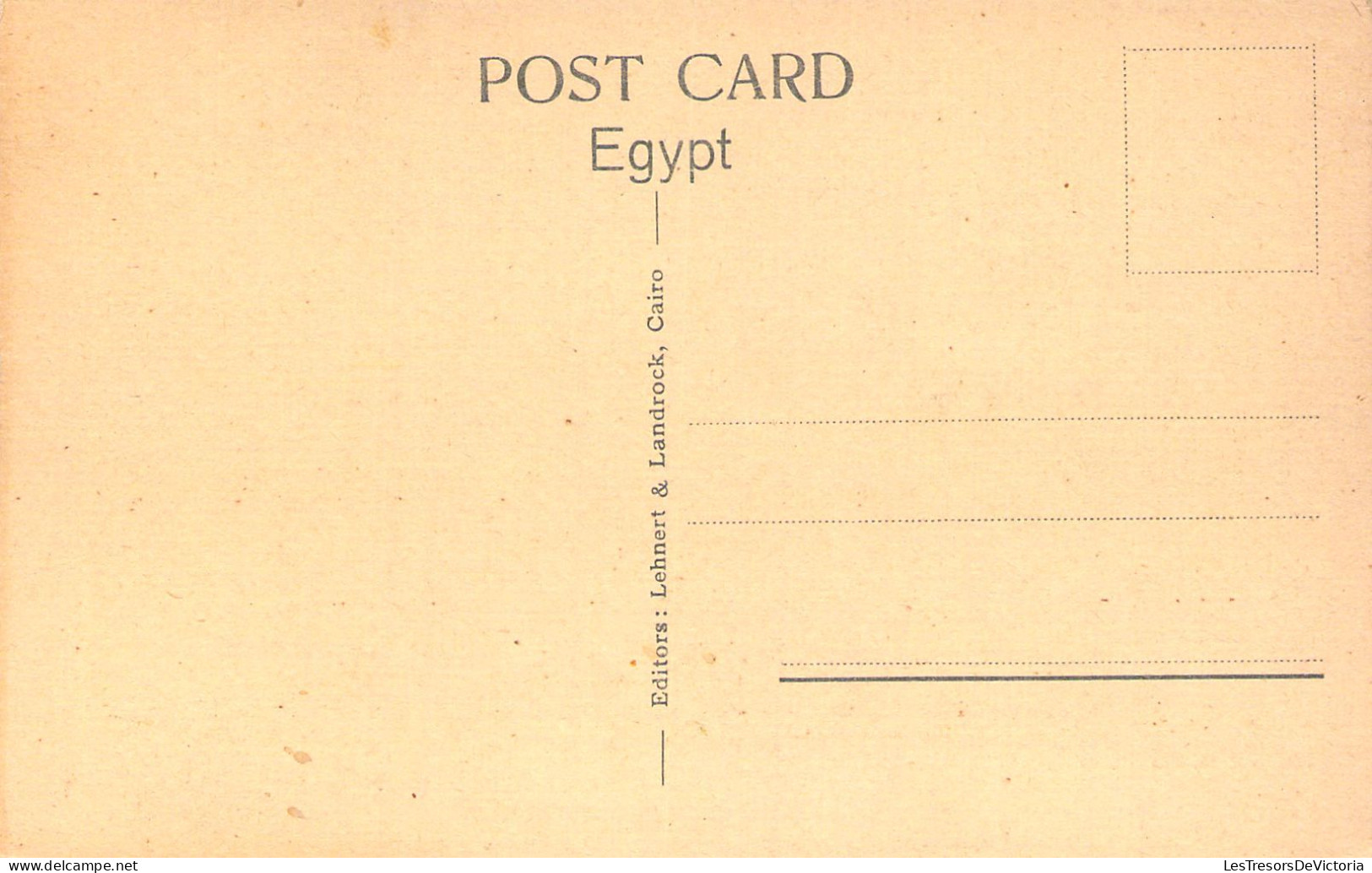 EGYPTE - LOUXOR - Nilestamers And Winter Palace Hotel - Carte Postale Ancienne - Louxor