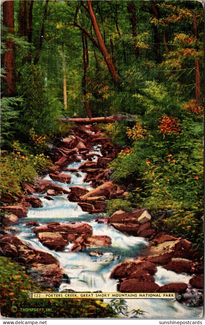 Great Smoky Mountains National Park Porter's Creek - USA Nationalparks