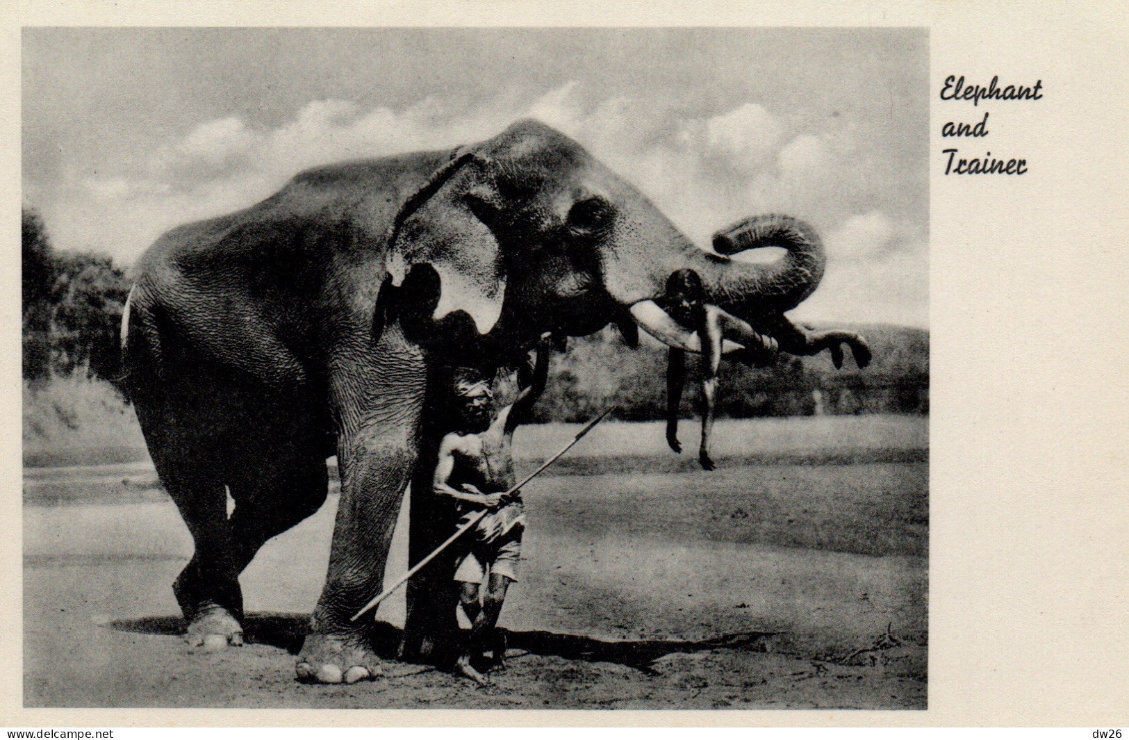 Ethnologie Asie (Inde, Ceylan) Elephant And Trainer (son Dresseur) Carte Non Circulée - Asie