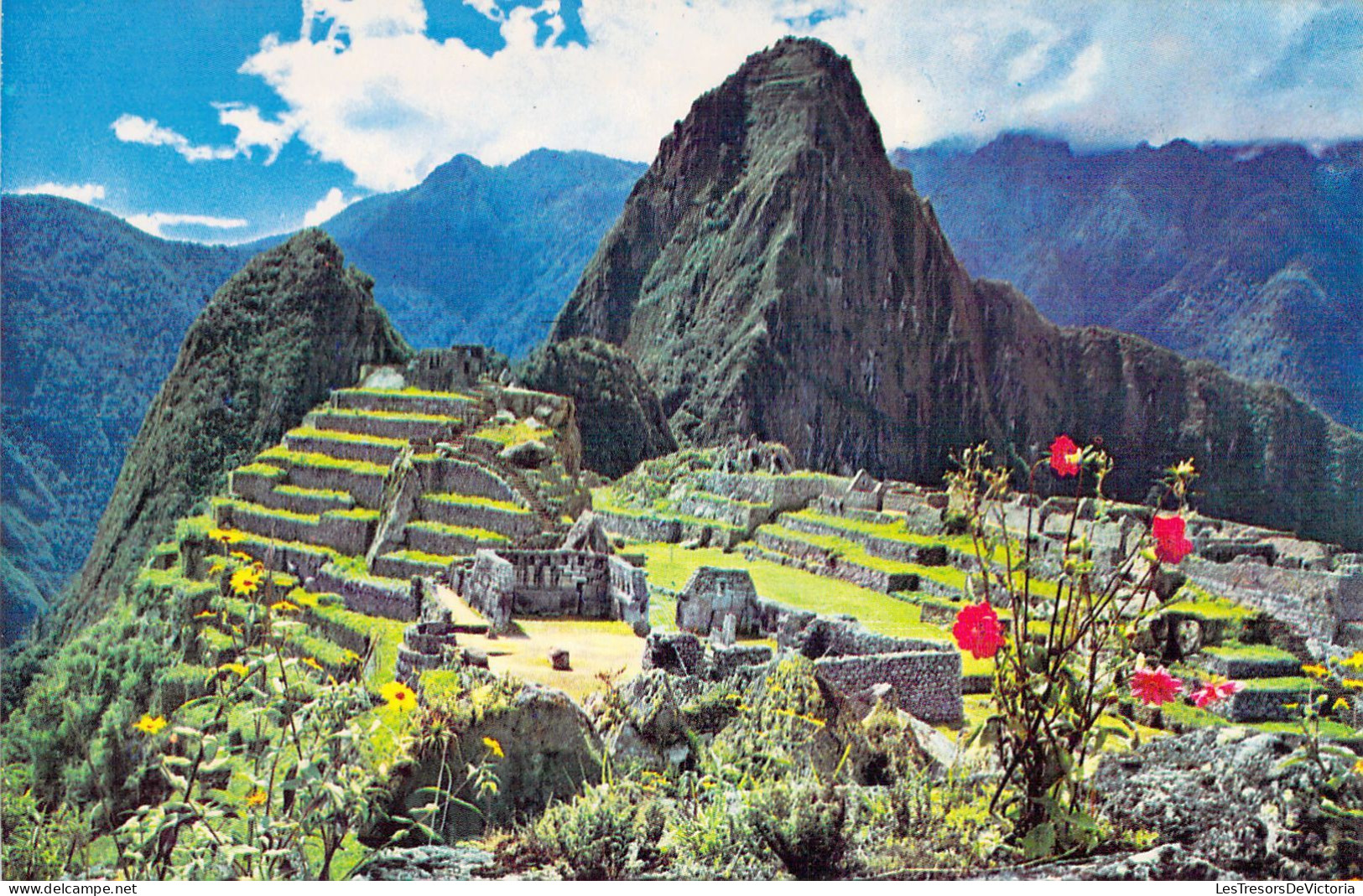 PEROU - Vista Parcial De La Ciudadela Y Huaynapicchu View Of Citadel - MACHUPICCHU - Carte Postale Ancienne - Peru