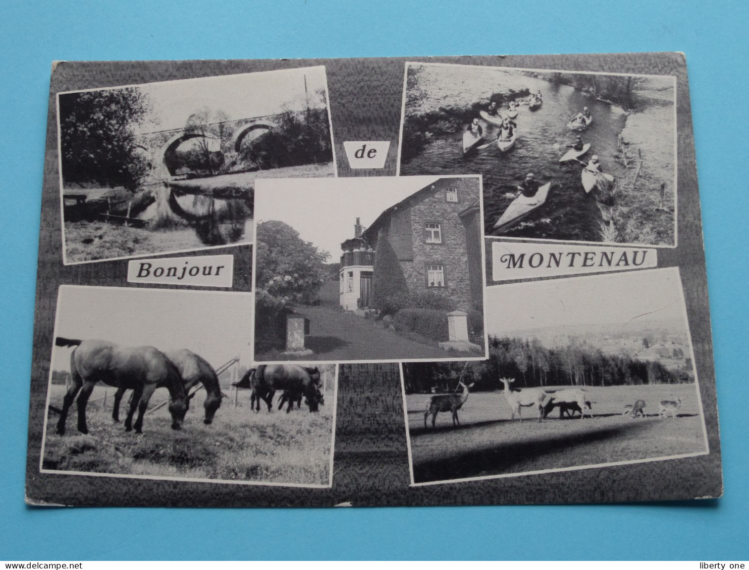 Bonjour De MONTENAU ( Edit. D. Lecoq ) Anno 197? ( Zie / Voir SCANS ) ! - Amblève - Amel