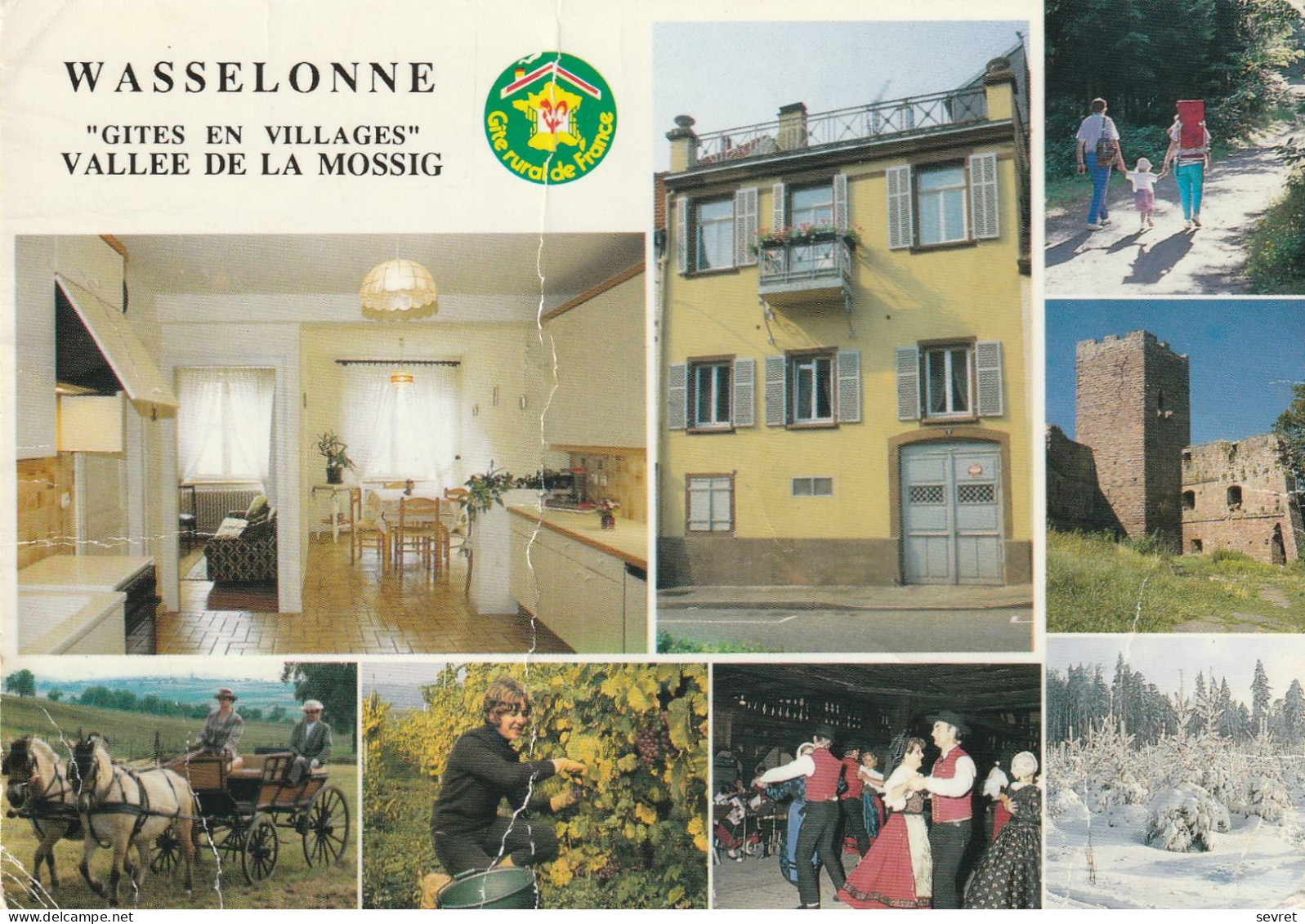 WASSELONNE. Gîte Rural Alice ORTH - Wasselonne