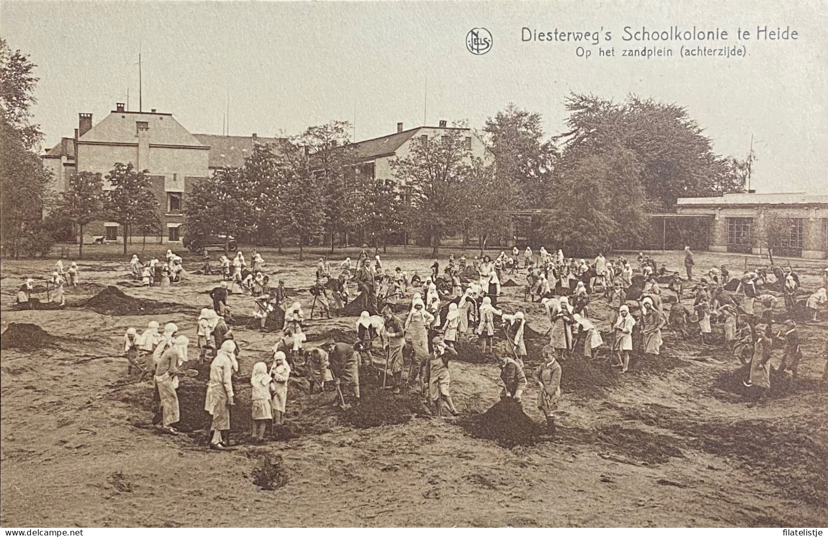 Diesterweg’s Schoolkolonie Te Heide. Op Het Zand-Leon - Kalmthout