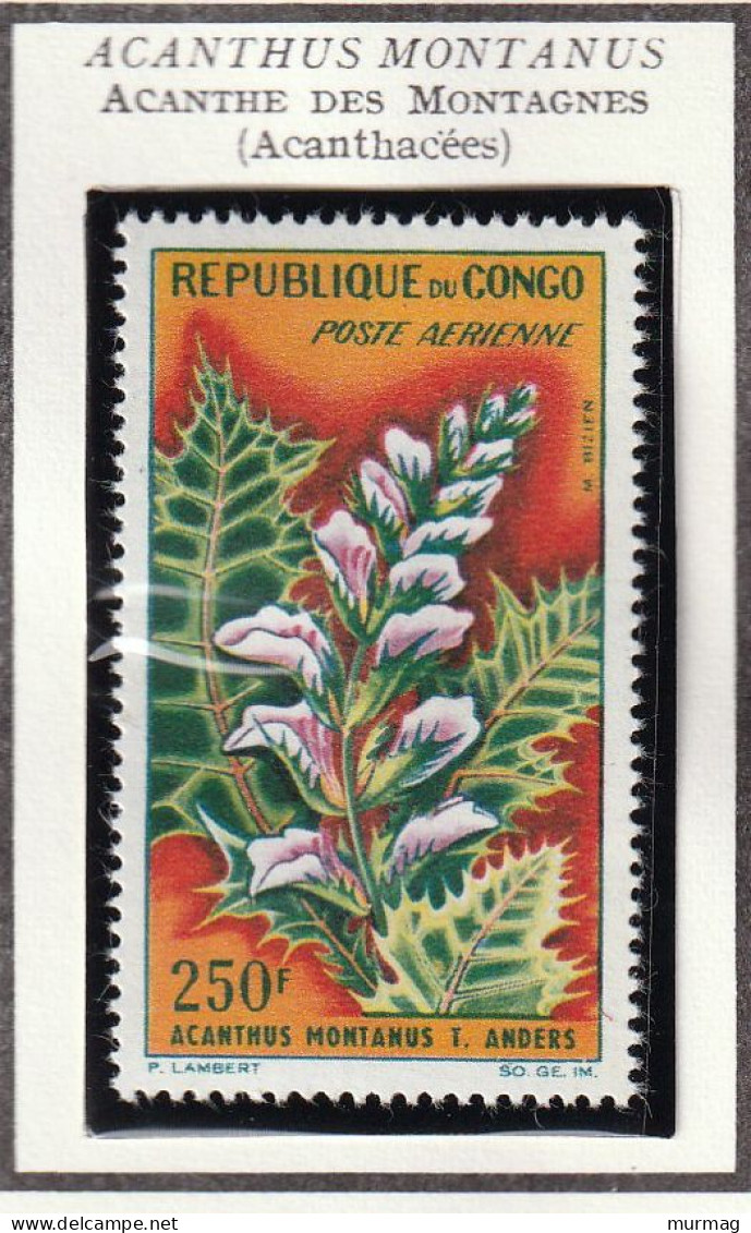 CONGO - Fleurs, Costus Remarquable, Acanthe Des Montagnes - Y&T PA 8-9 - 1963 - MNH - Neufs