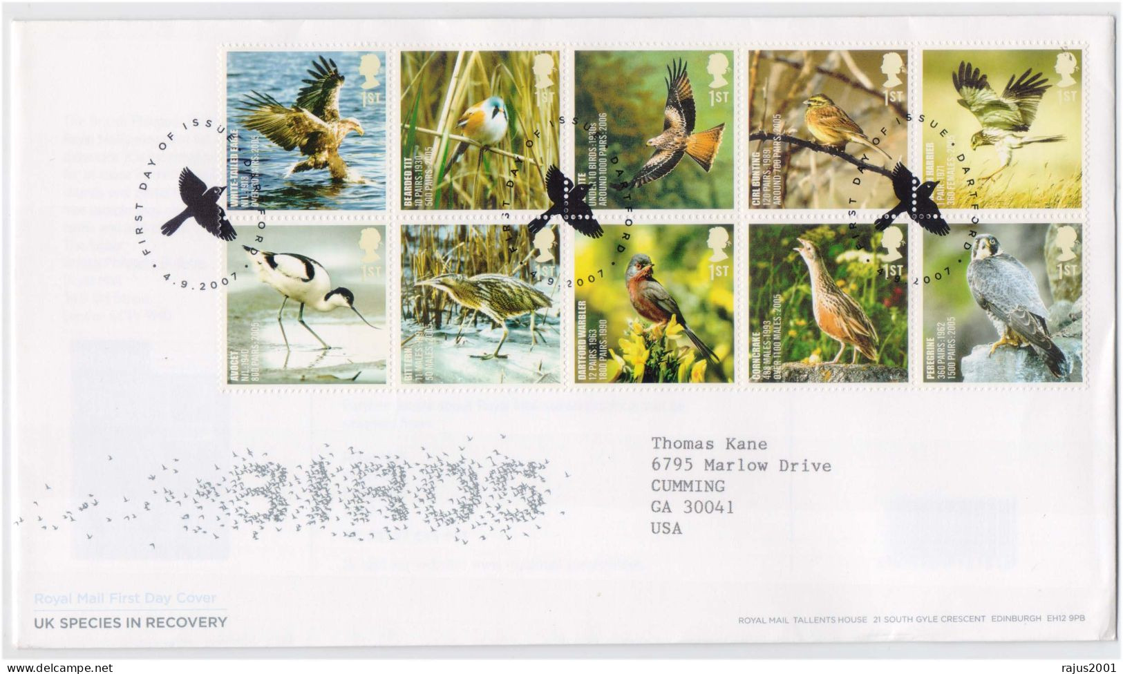 UK Species In Recovery, Eagle, Sparrow, Falcon, Kite Bunting, Beautiful Birds, Bird, Animal, Pictorial Cancellation FDC - Moineaux