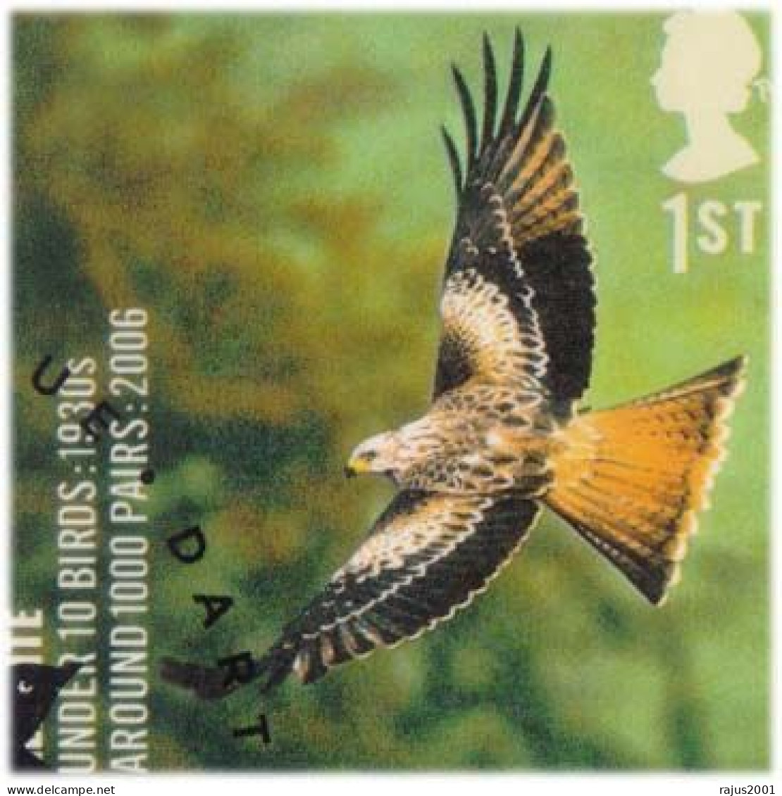 UK Species In Recovery, Eagle, Sparrow, Falcon, Kite Bunting, Beautiful Birds, Bird, Animal, Pictorial Cancellation FDC - Moineaux