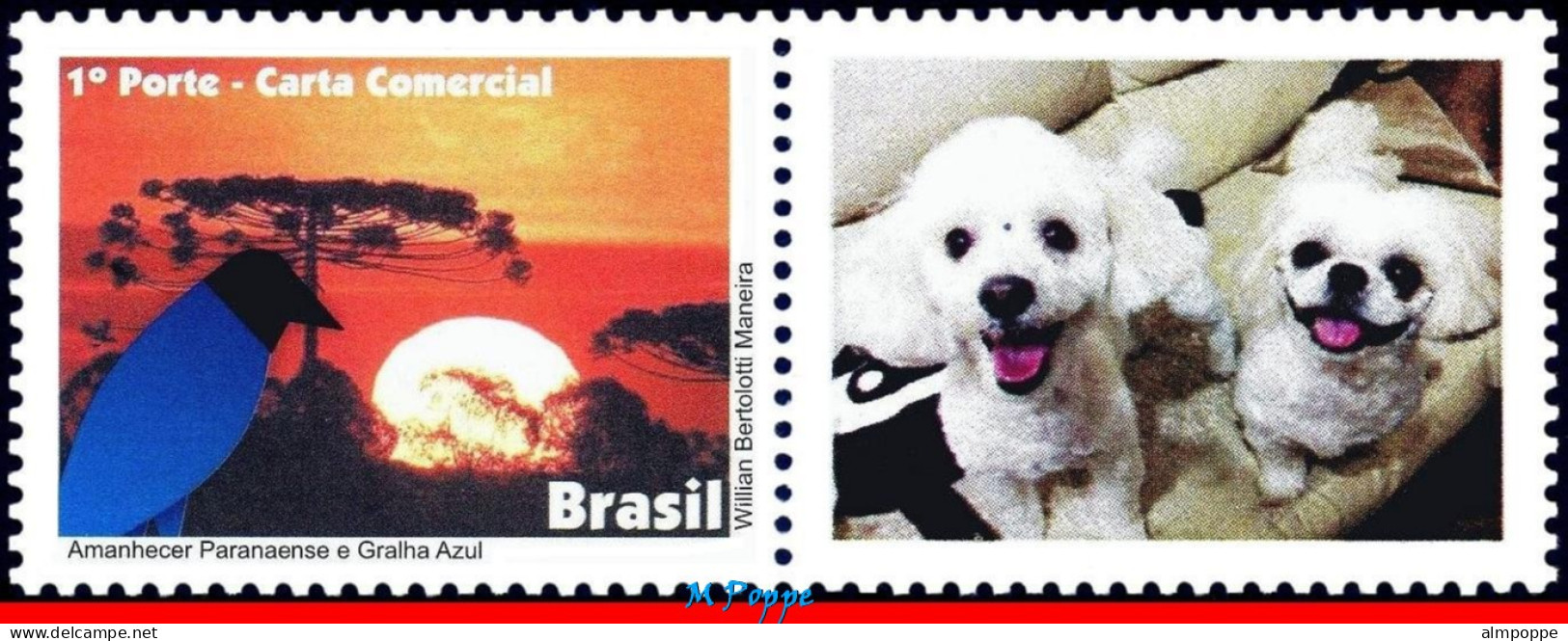 Ref. BR-3203-3FO BRAZIL 2011 - DAWN PARANA, BLUE JACKDAW,BIRDS,DOGS,SHEET PERSONALIZED MNH, ANIMALS, FAUNA 12V Sc# 3203 - Personalized Stamps