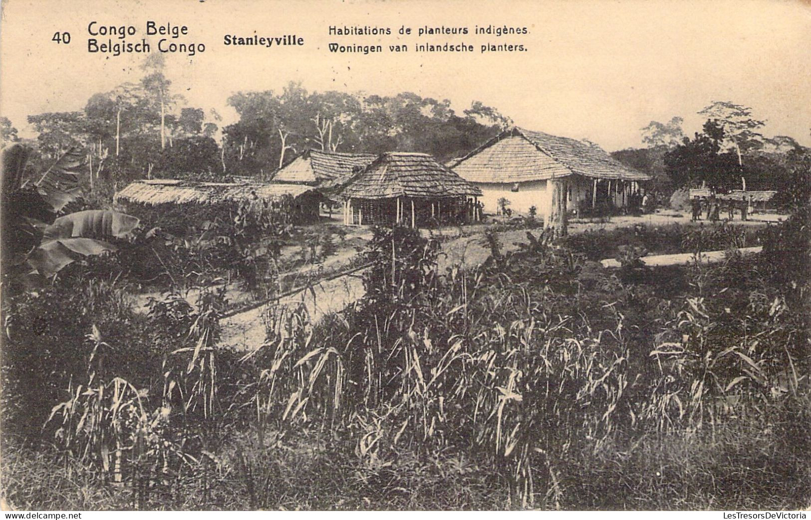 CONGO - STANLEYVILLE - Habitations De Planteurs Indigènes - Carte Postale Animée - Altri & Non Classificati