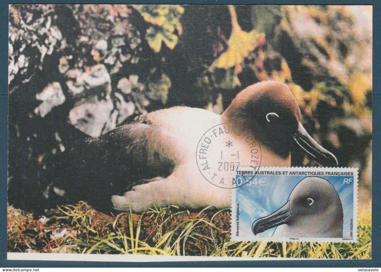 TAAF N° 464/468 OISEAUX SUR 5 CARTES MAXIMUM - FDC