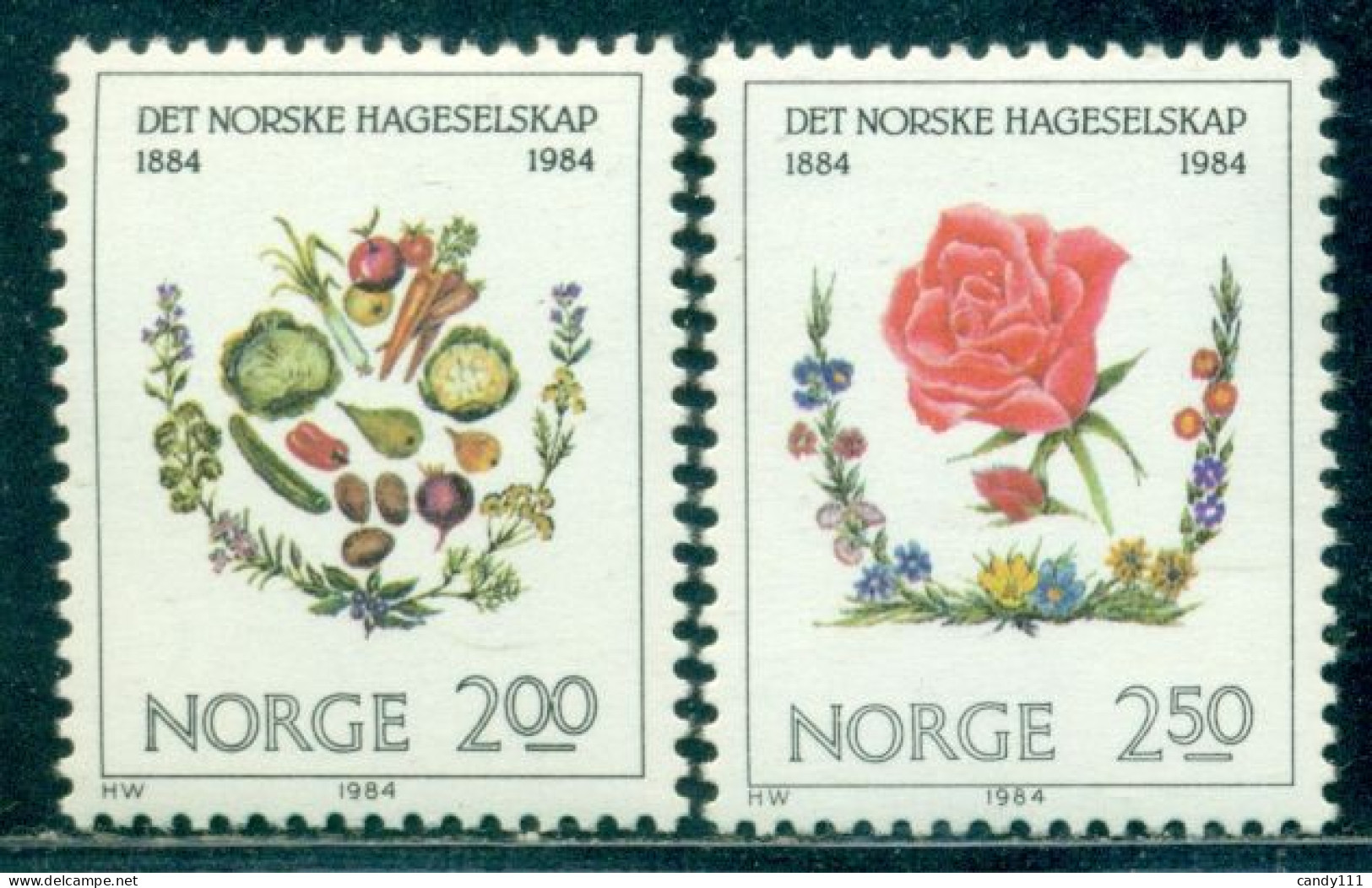 1984 Horticulture,Fruits,vegetables,spices,Rose,flowers,Norway,Mi.906,MNH - Légumes