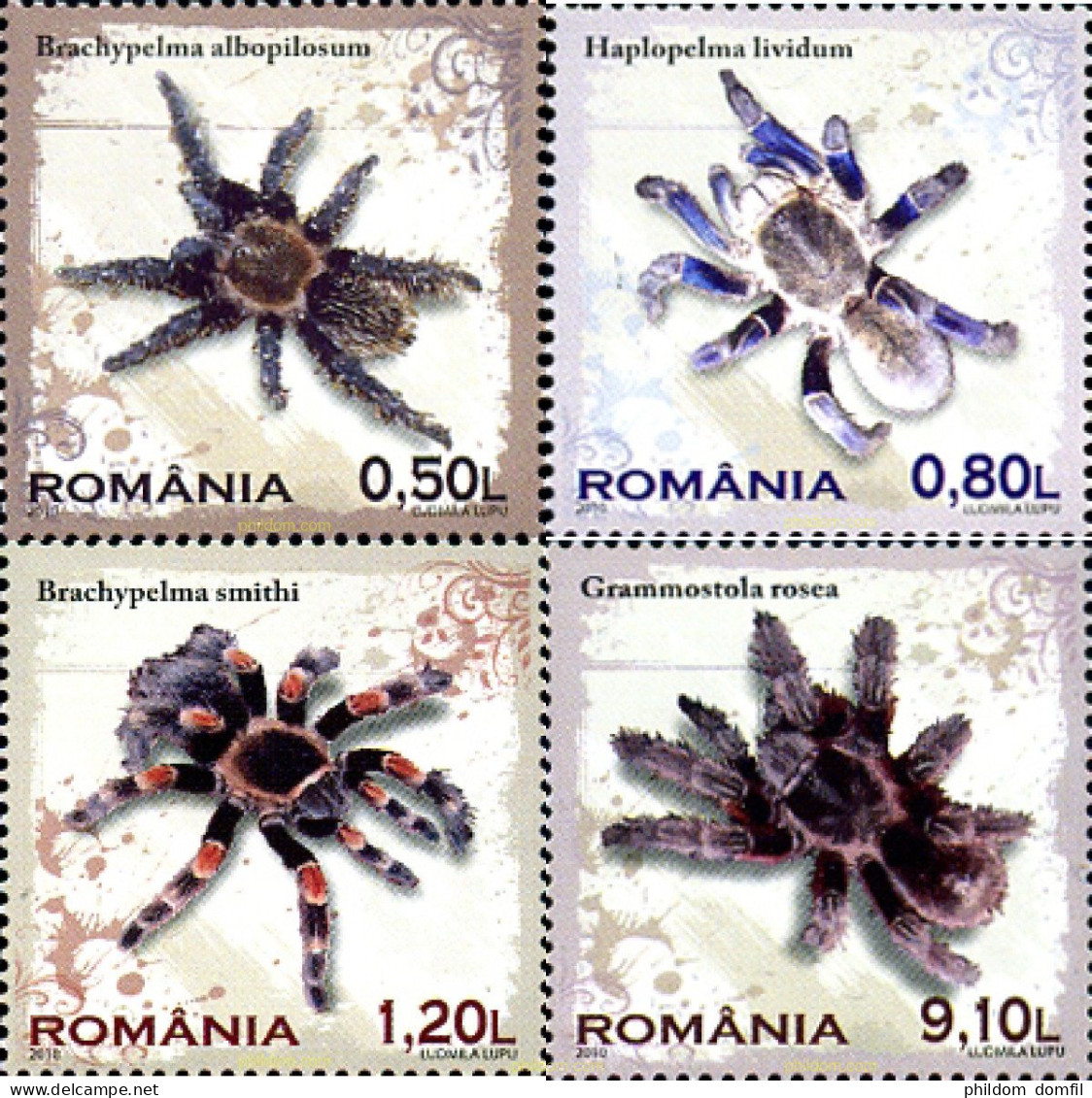 245918 MNH RUMANIA 2010 ARAÑAS - Spinnen