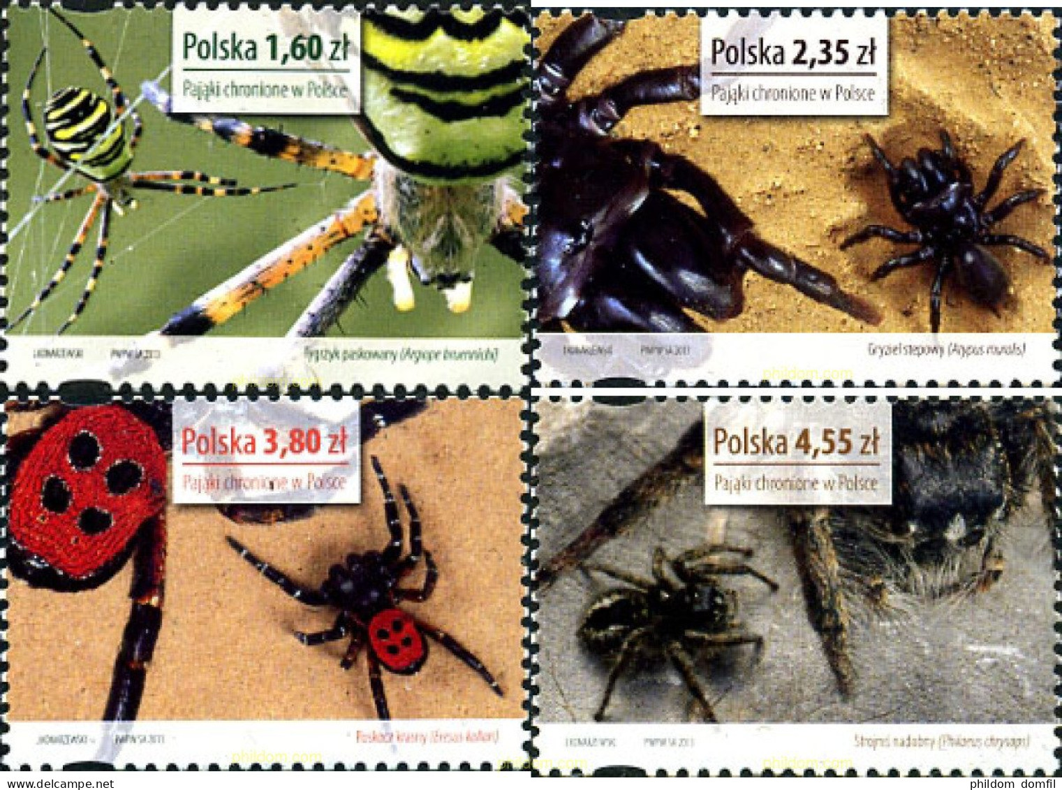 315141 MNH POLONIA 2013 ARAÑAS - Spiders