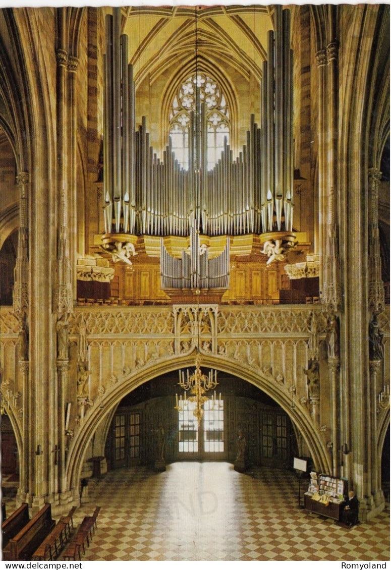 CARTOLINA  VIENNA,AUSTRIA-STEPHANSDOM.RIESENORGEL-NON VIAGGIATA - Stephansplatz