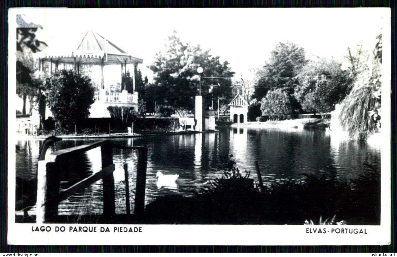 ELVAS - CORETOS - Lago Do Parque De Piedade. ( Ed. Hotel Alentejo)  Carte Postale - Portalegre