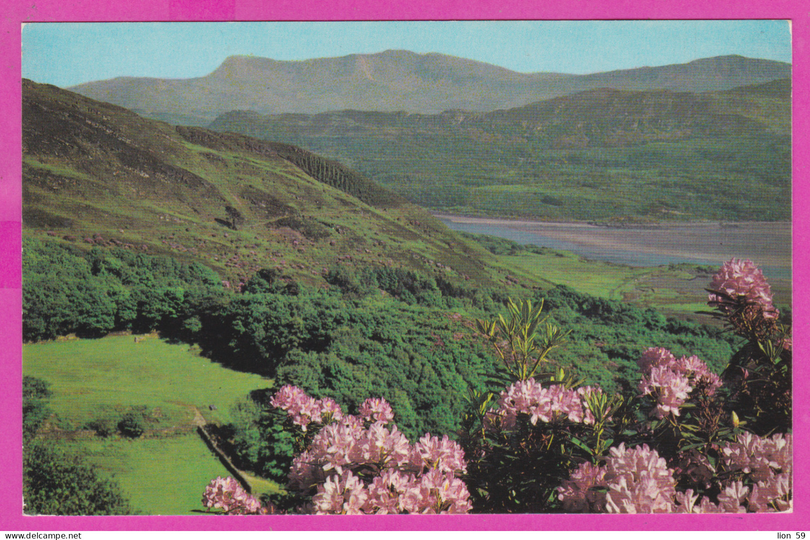 289828 / United Kingdom - Barmouth - The Mawddach Estuary Landscape Flowers PC 25101 Great Britain Grande-Bretagne - Merionethshire