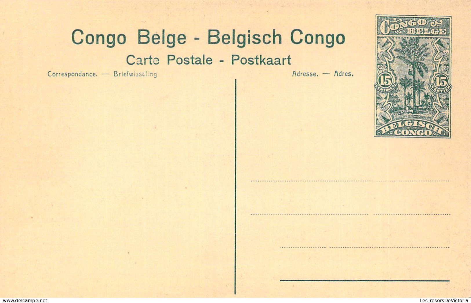 CONGO BELGE - STANLEYVILLE - Les Chutes De La Tschopo - Carte Postale Ancienne - Congo Belge