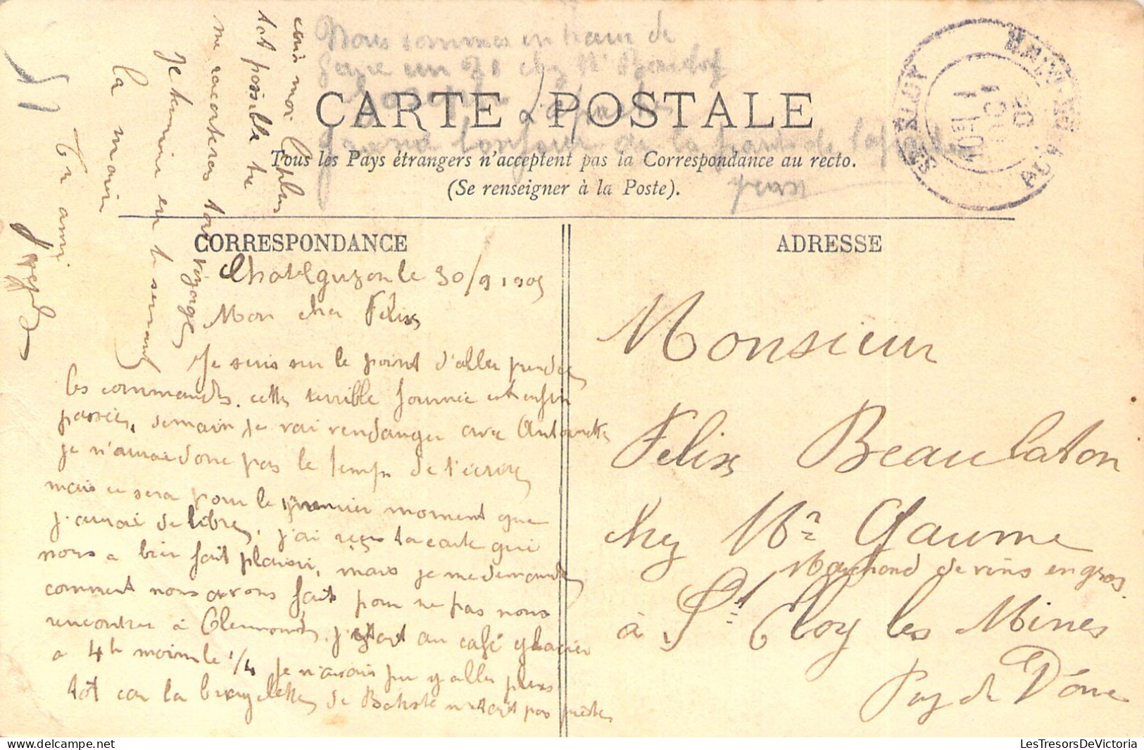 FRANCE - 63 - TYPES D'AUVERGNE - Le Gaulage Des Noix - LL - Carte Postale Ancienne - Auvergne Types D'Auvergne