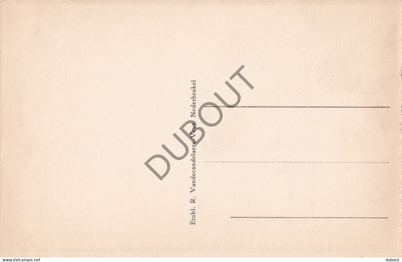 Postkaart/Carte Postale - Buggenhout -  Kapel  (C3832) - Buggenhout