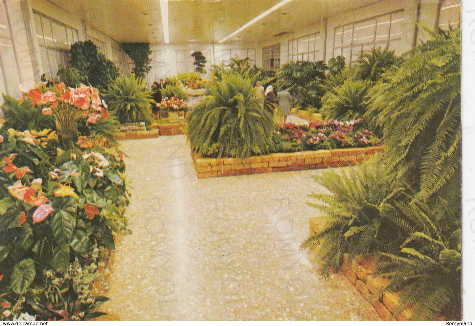 CARTOLINA  ROMA,LAZIO-2°MONSTRA DI FIORI E PIANTE ORNAMENTALI DEL LAZIO-FIERA DI ROMA 1973-BELLA ITALIA,NON VIAGGIATA - Ausstellungen