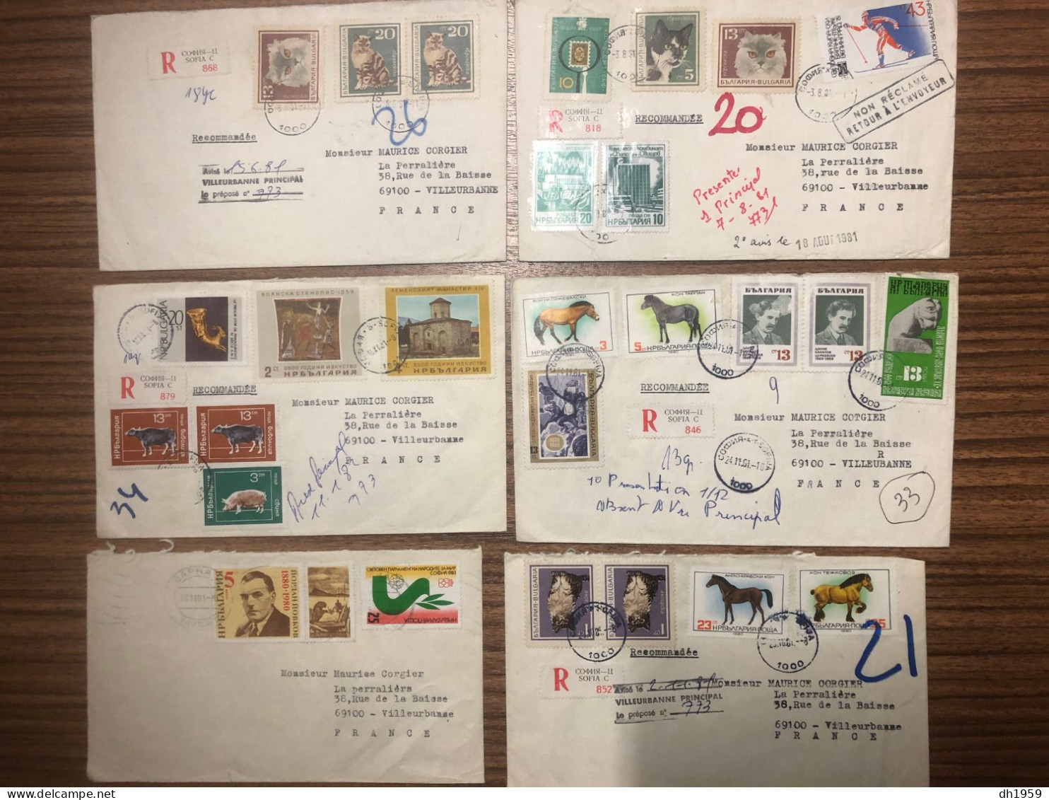 BULGARIE BULGARIEN BULGARIA COLLECTION LOT Env. 66 LETTRES COVER BRIEFE SOFIA VILLEURBANNE CAT CHAT HORSE SOCCER - Collections, Lots & Séries