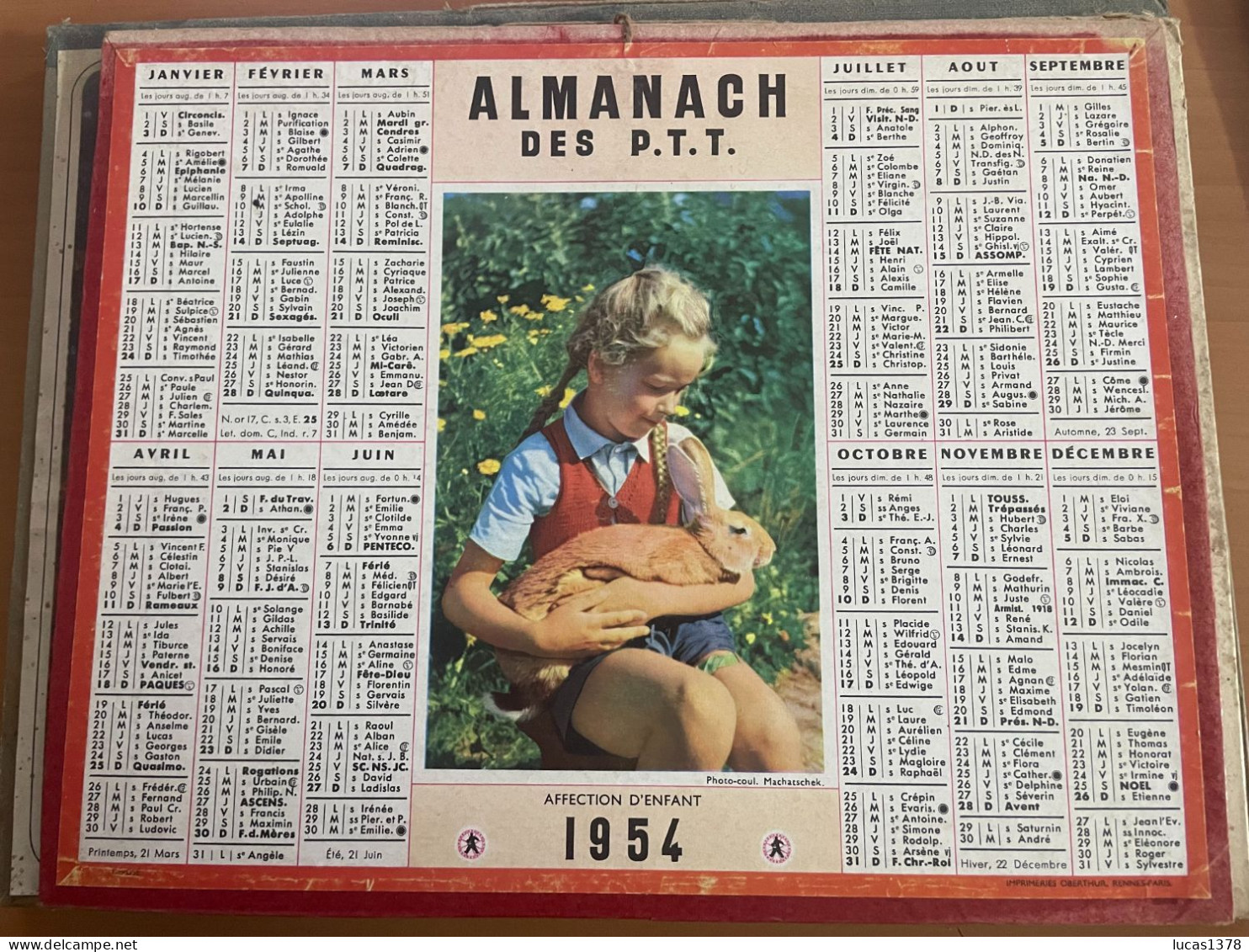 CALENDRIER ALMANACH DES POSTES  1954 / ENFANT LAPIN - Big : 1941-60