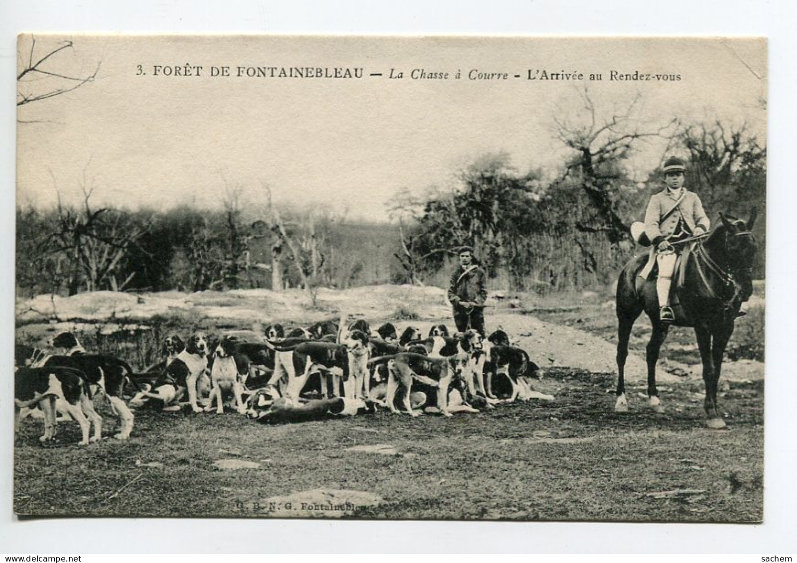 CHASSE à COURRE 325 Foret De Fontainebleau L'Arrivée Au Rendez Vous Meute Chiens De Chasse  Et Piqueur 1910 - Chasse