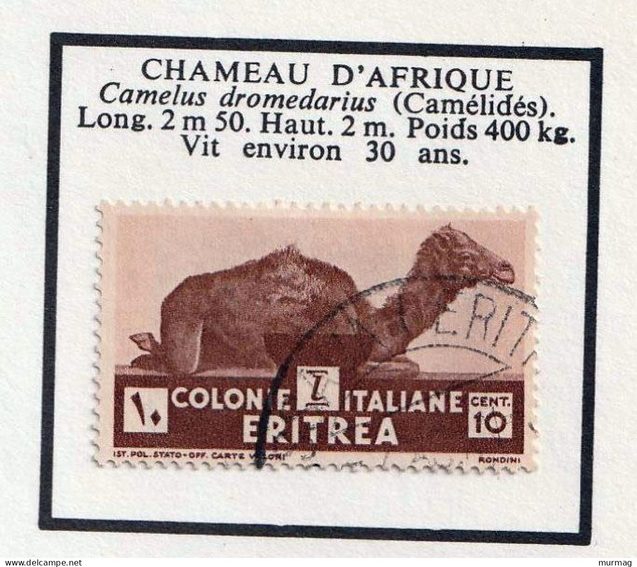 ERYTHREE - Faune, Chameaux - Y&T N° 195-197 - 1933 - Neuf Et Oblitéré - Eritrée