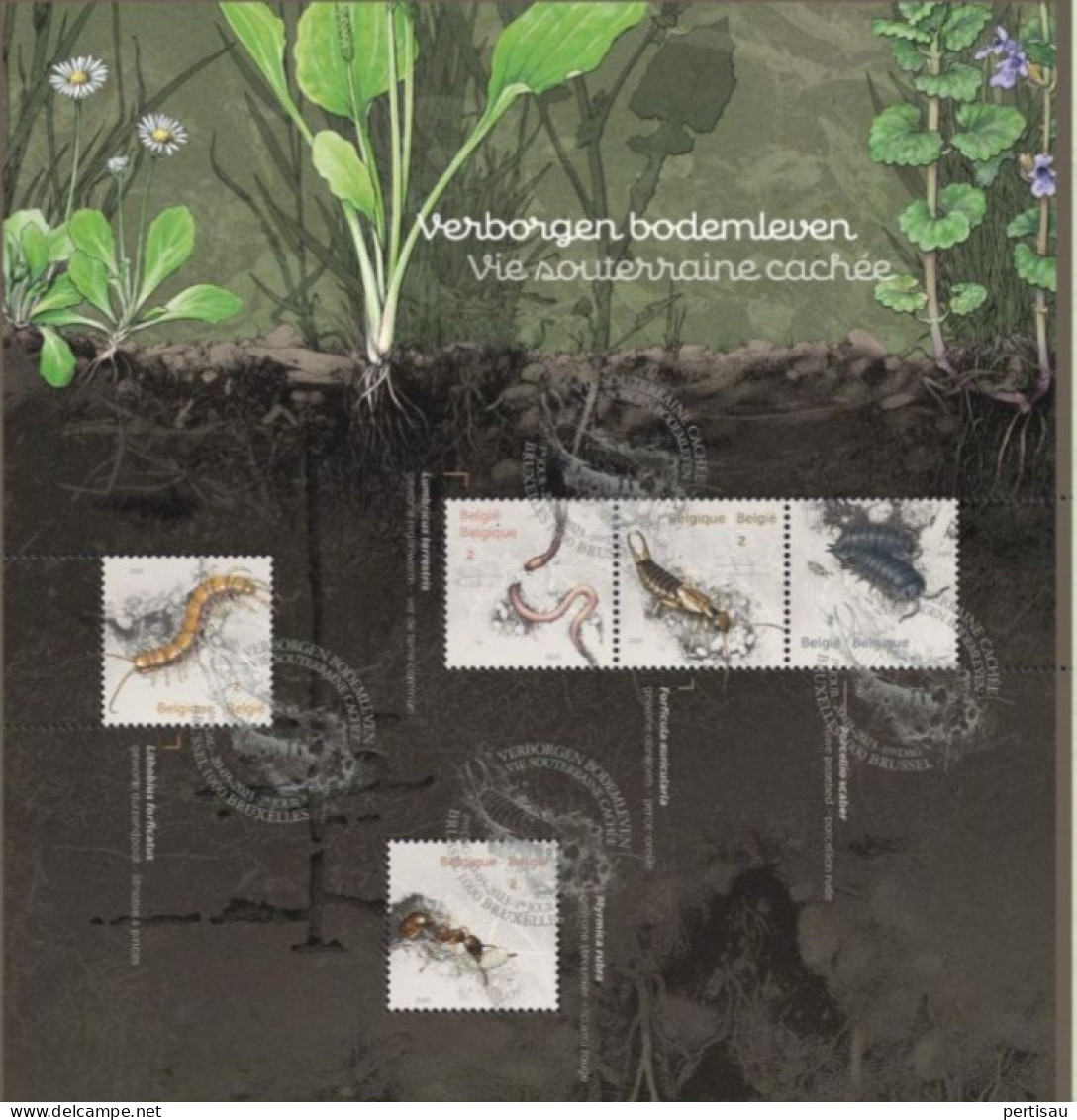 Verborgen Bodemleven Zegels Met Uitgiftestempel 2023 - Oblitérés