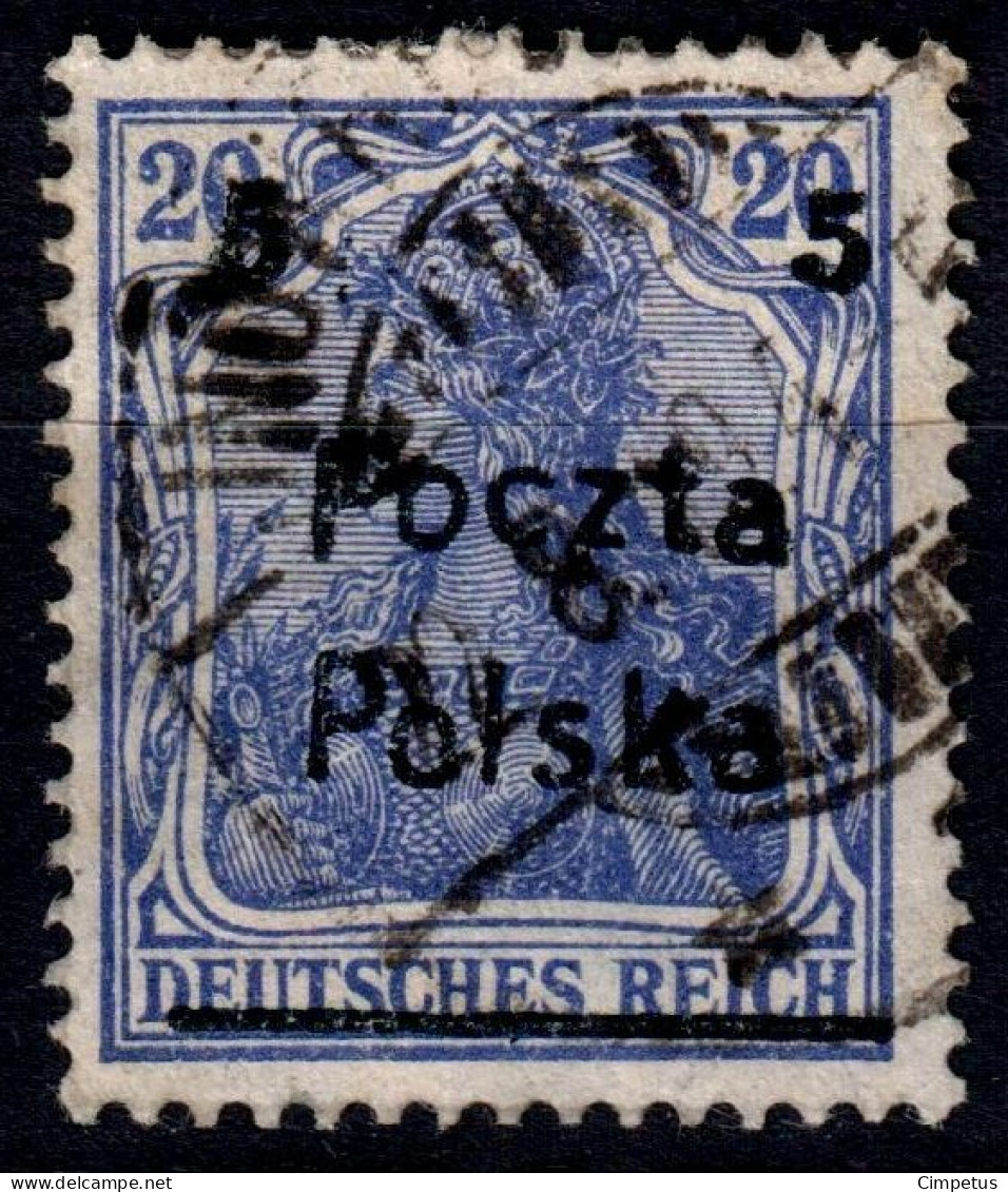 1919  Polska      Poznan Issue    Mi 132   Used - Usados