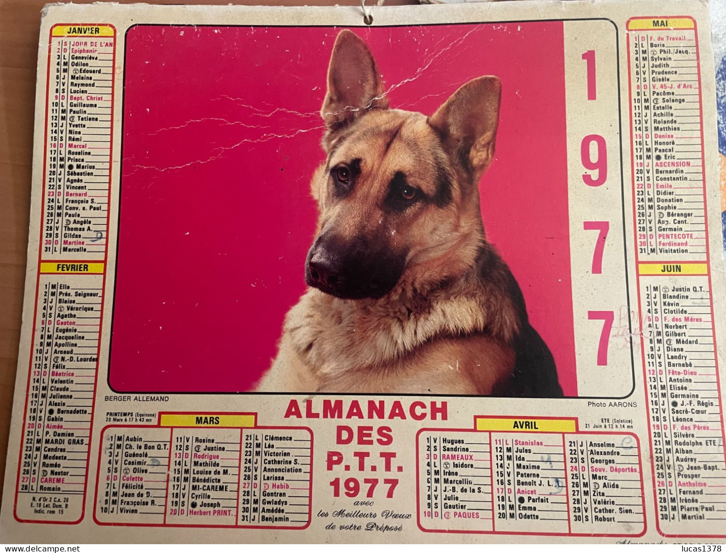 CALENDRIER ALMANACH DES POSTES  1977 / CHIEN / CHAT - Grand Format : 1971-80