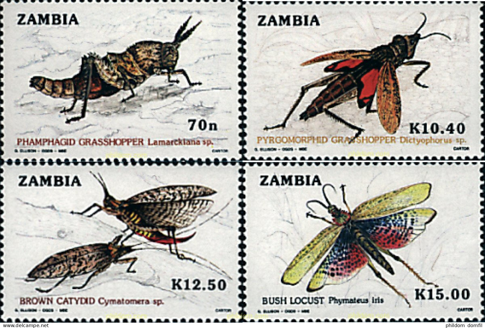 34267 MNH ZAMBIA 1989 INSECTOS - Spinnen