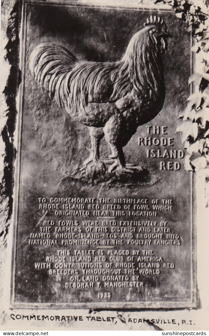 Rhode Island Auriesville The Rhode Island Red Commemorative Tablet Real Photo - Autres & Non Classés