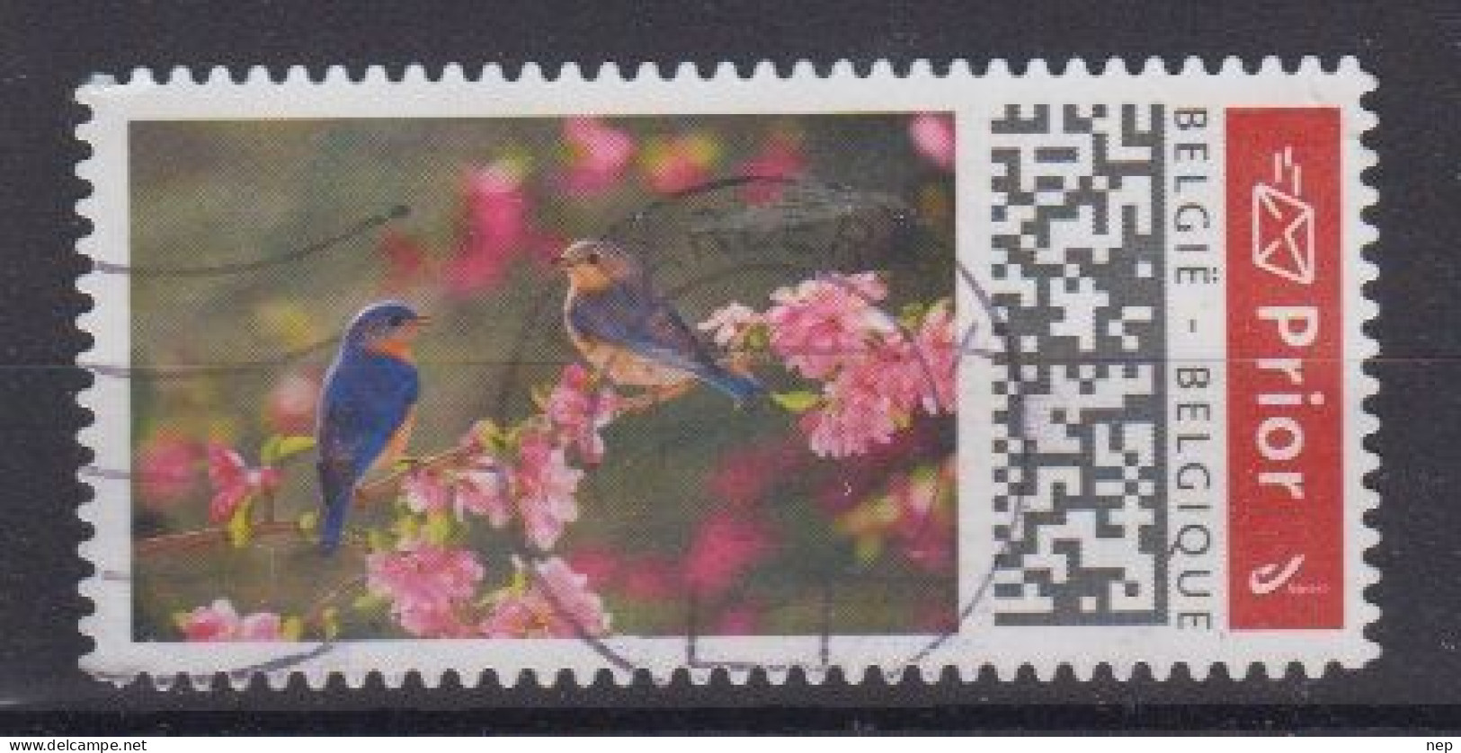 BELGIË - OBP - 2019 - Type Nr. 4831 - (BIRDS) - Used