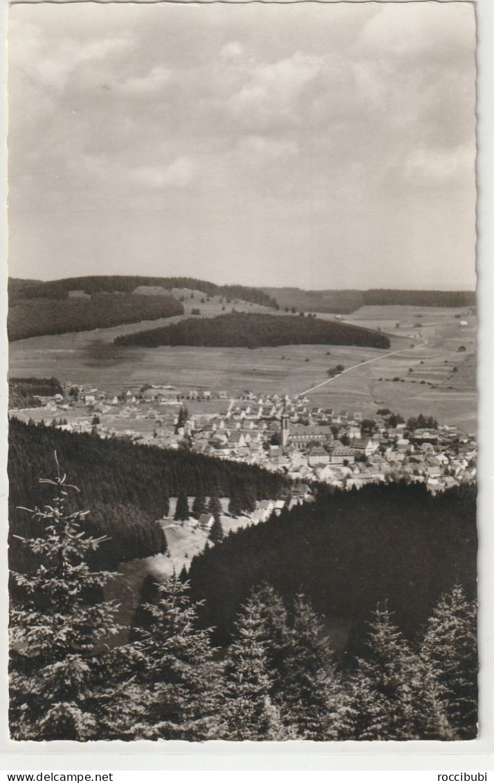 Neustadt, Hochschwarzwald, Baden-Württemberg - Hochschwarzwald