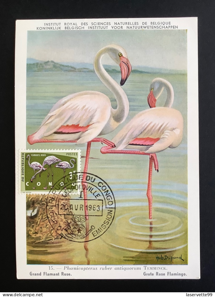 Carte Maximum Oiseau Flamant Rose 1963 Congo CM FDC Maximum Card - Flamingo's