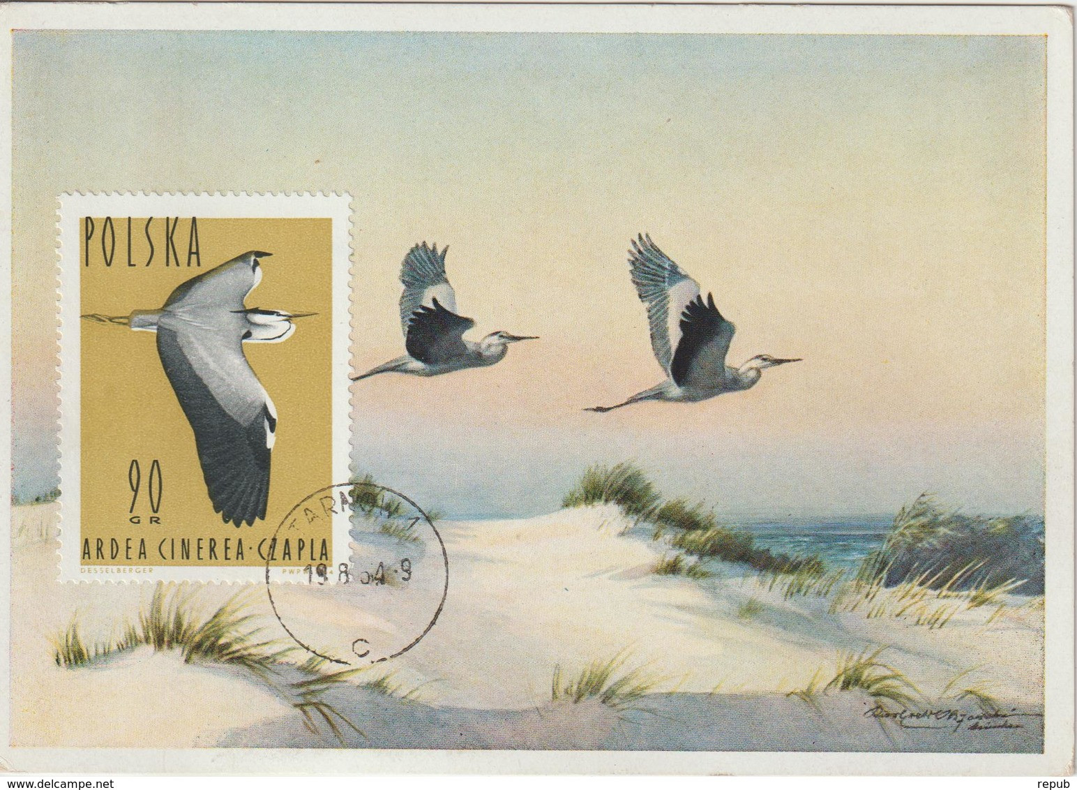 Pologne Carte Maximum Oiseaux 1964 Héron 1351 - Maximum Cards