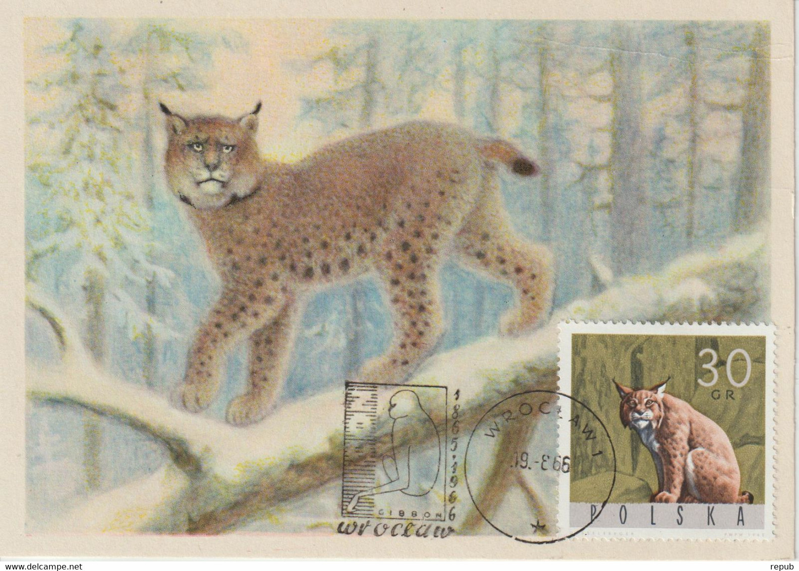 Pologne Carte Maximum 1965 Lynx 1484 - Maximum Cards