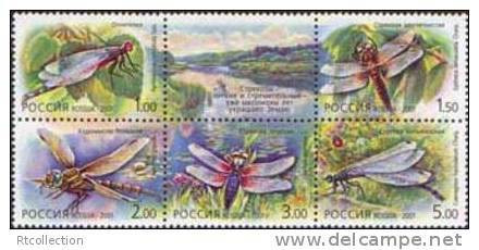 Russia 2001 Insects Animals Fauna Animal Dragon-flies Dragon Fly Files Insect Nature Mountain Stamp MNH Michel 903-907Zd - Collections