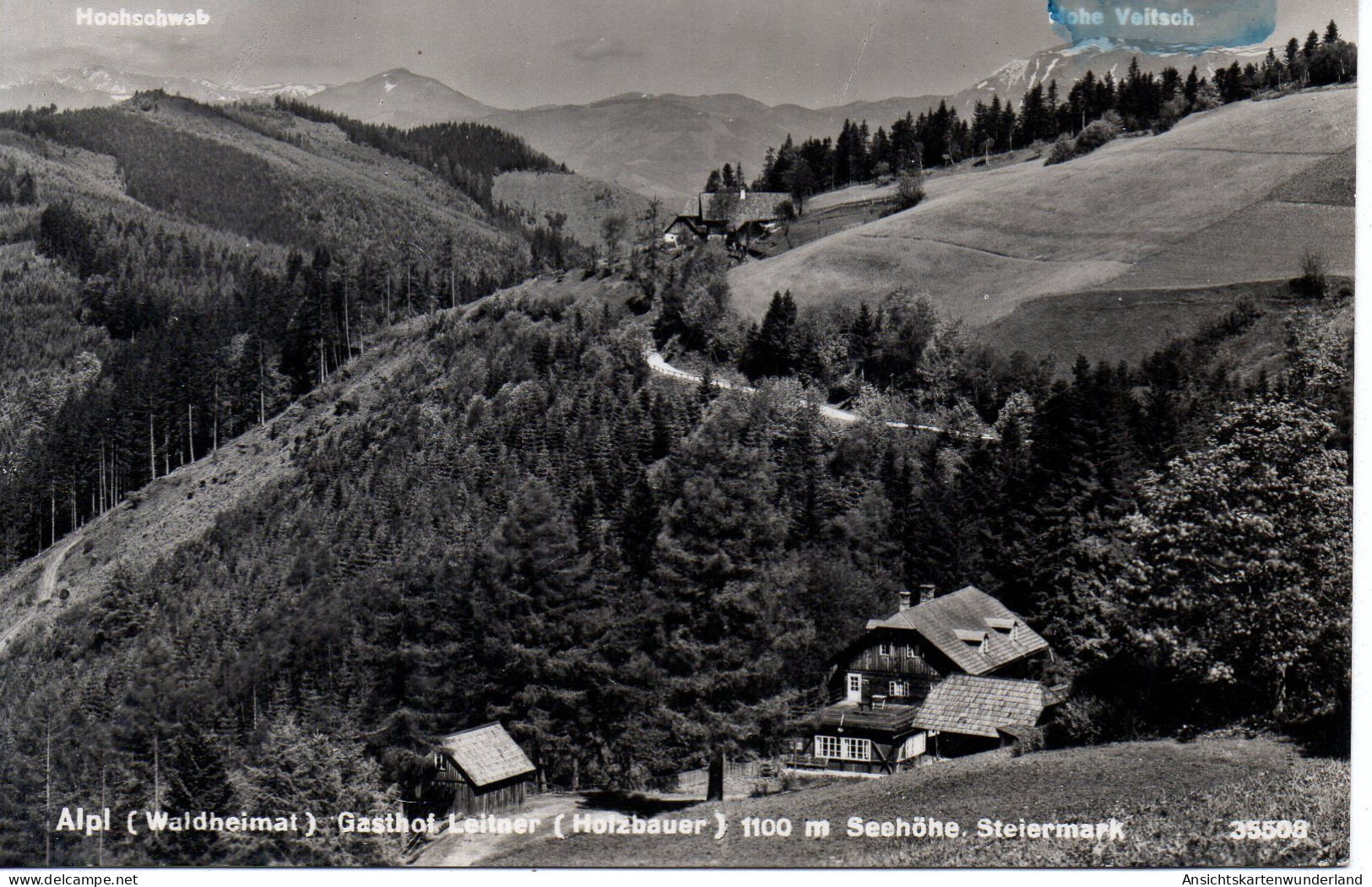 Alpl - Gasthof Leitner/ Holzbauer 1952 (12642) - Krieglach