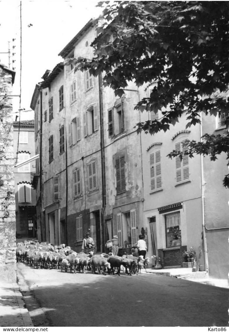 Bargemon * Transhumance Dans Une Rue * Berger Moutons - Bargemon